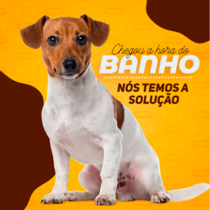 Sem-Título-10