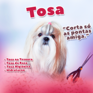 Sem-Título-8